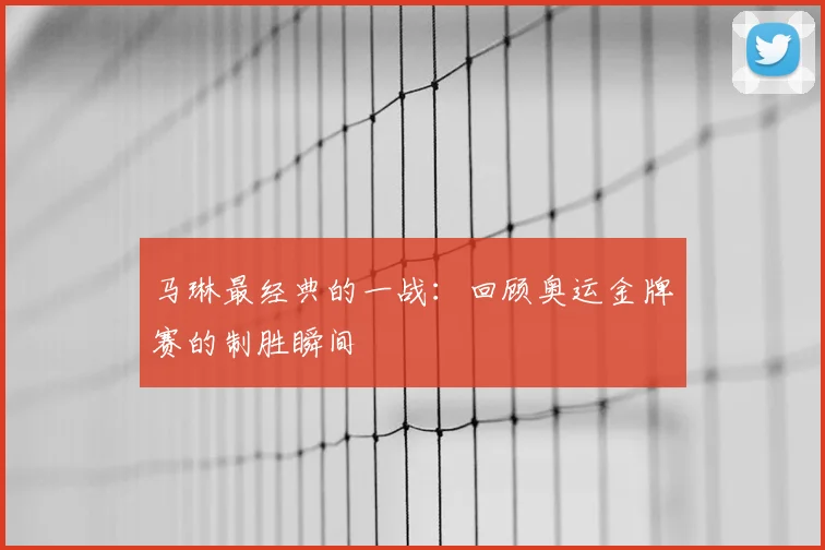 马琳最经典的一战:回顾奥运金牌赛的制胜瞬间